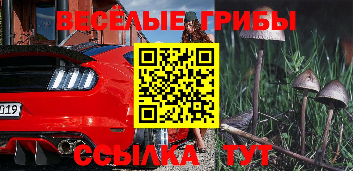 Псилоцибиновые грибы Psilocybe Добрянка