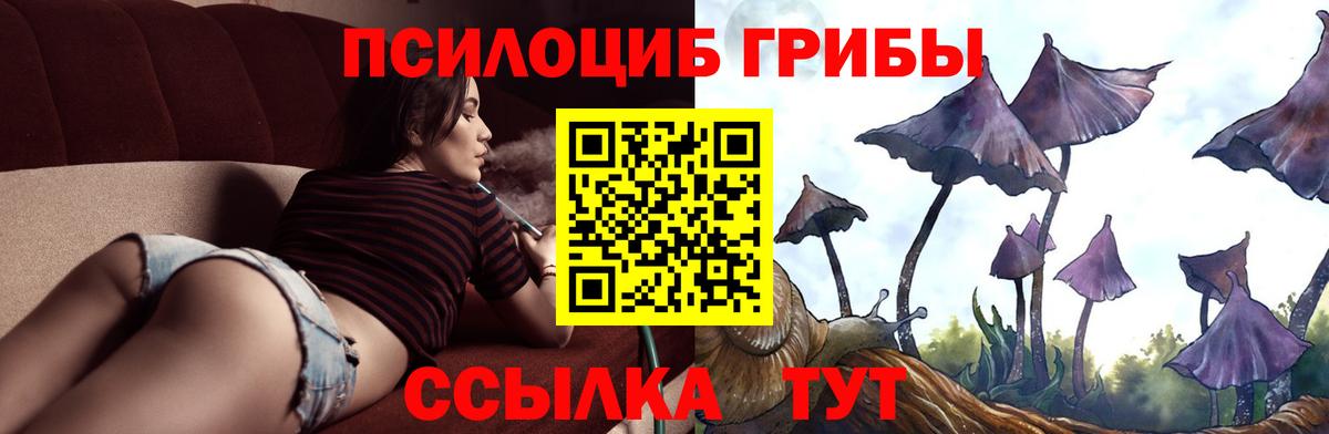 Добрянка  Галлюциногенные грибы Cubensis  Вход с VPN 